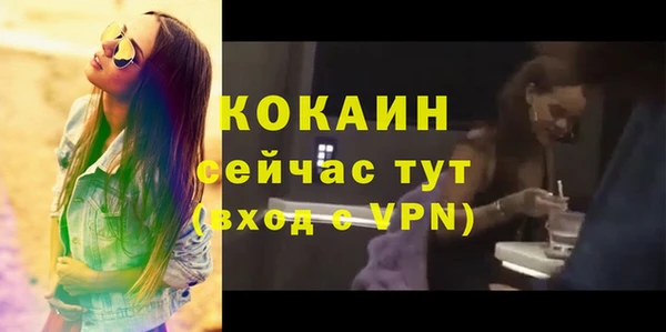 МДПВ Абаза