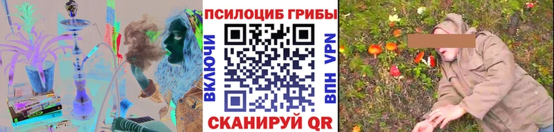 omg как зайти  Фурманов  Галлюциногенные грибы MAGIC MUSHROOMS 